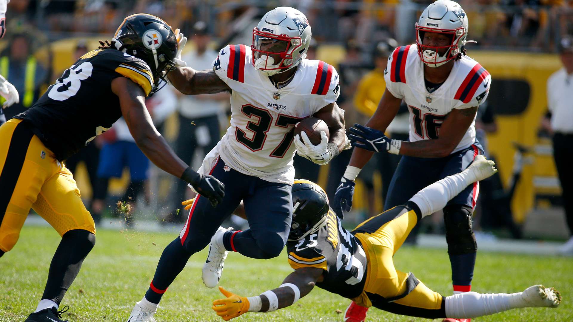 随着德布劳 随着德布劳