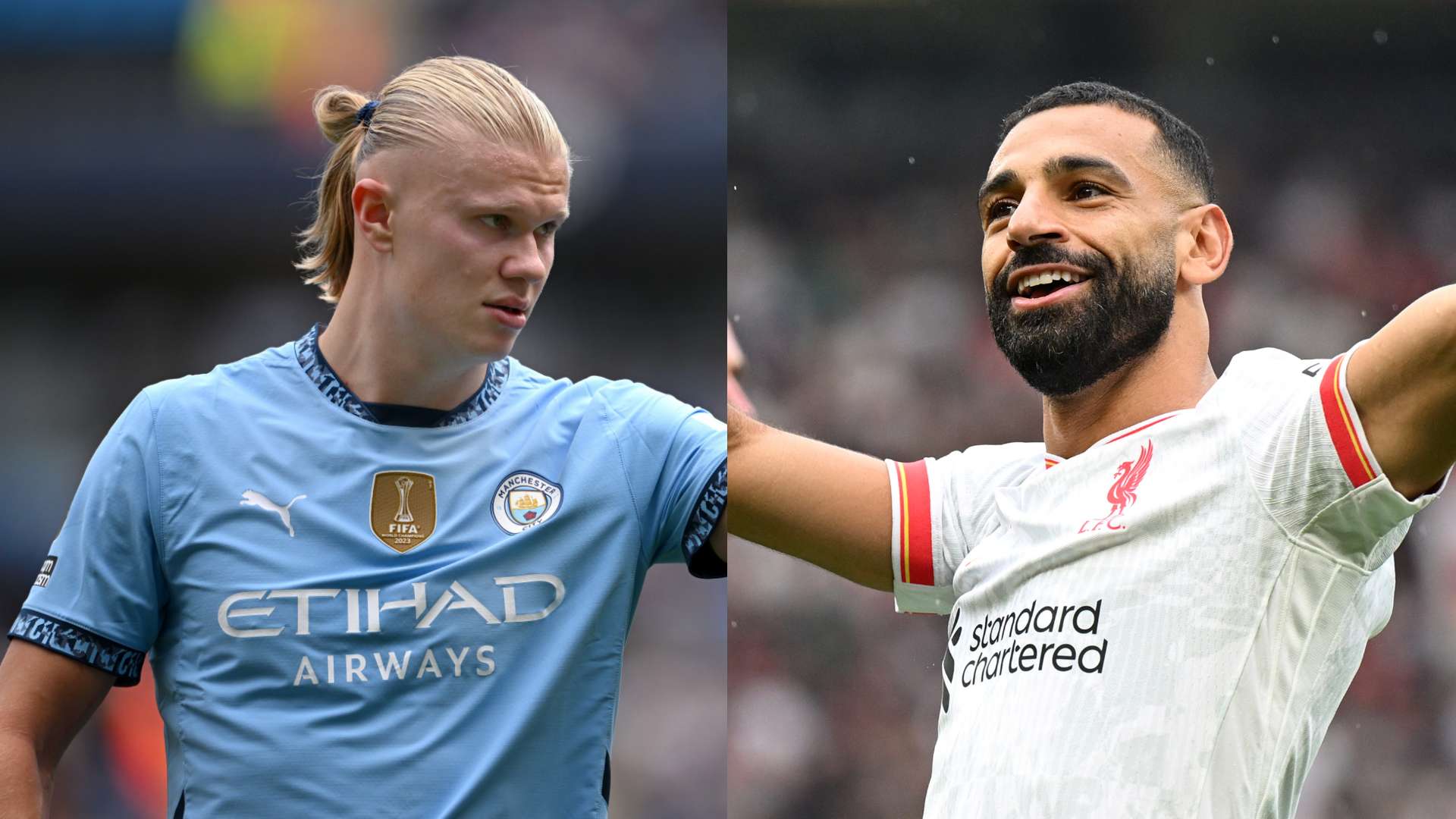 球迷们也都 球迷们也都