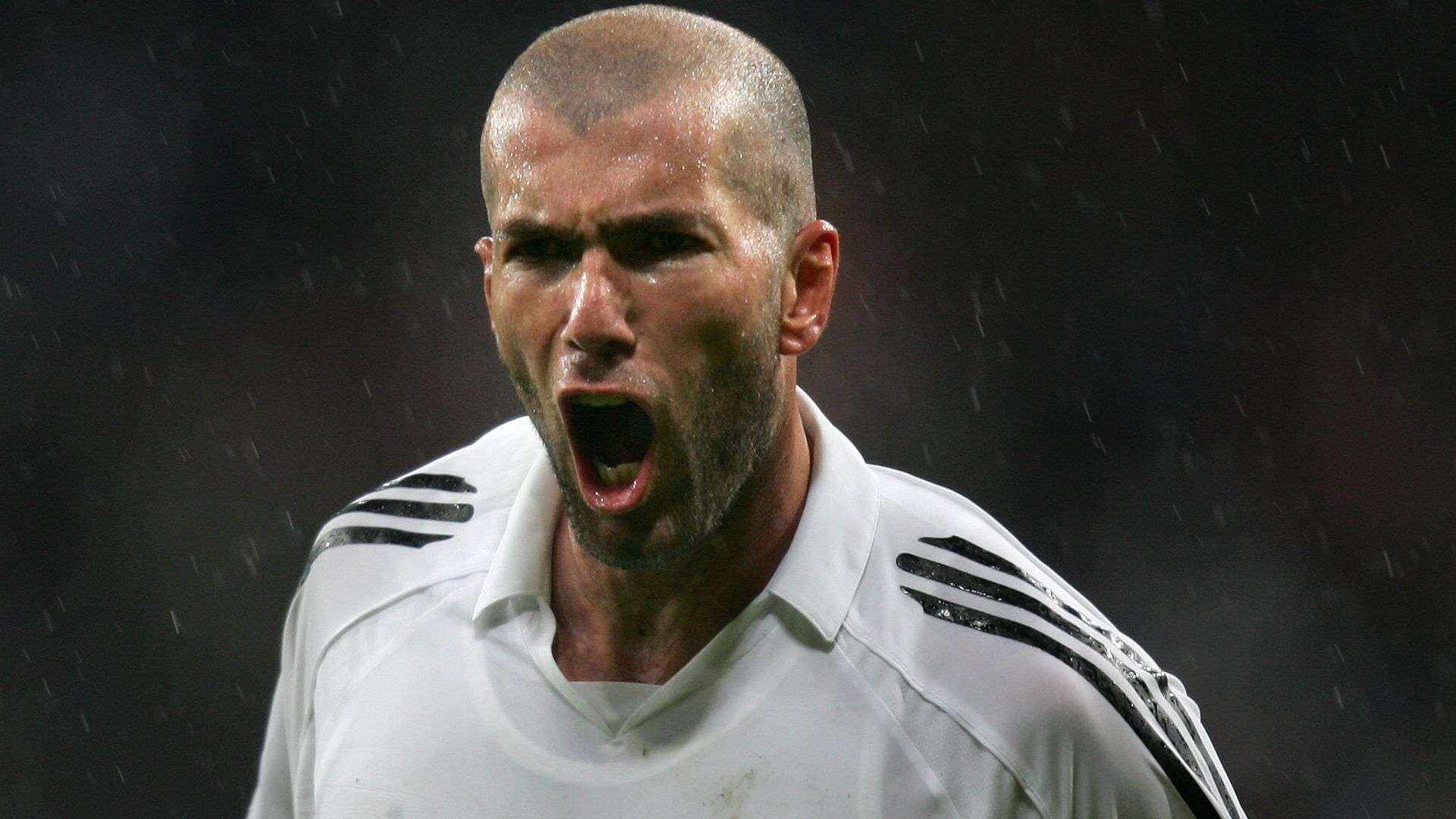 支持也为青 支持也为青