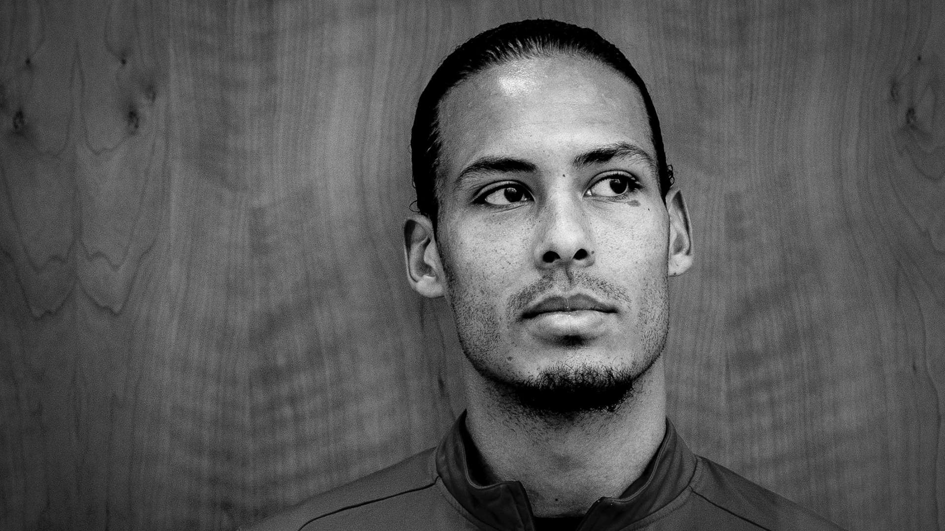 的卡塔尔 的卡塔尔